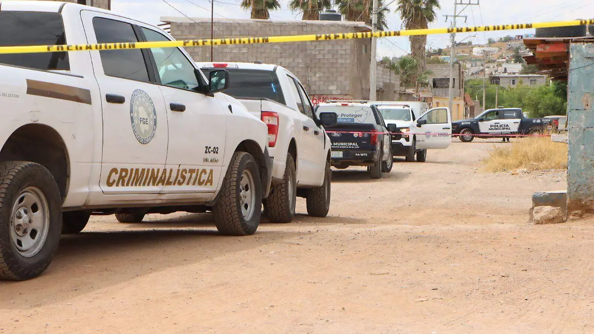 WhatsApp Image 2026-04-08 at 2.45.45 PM