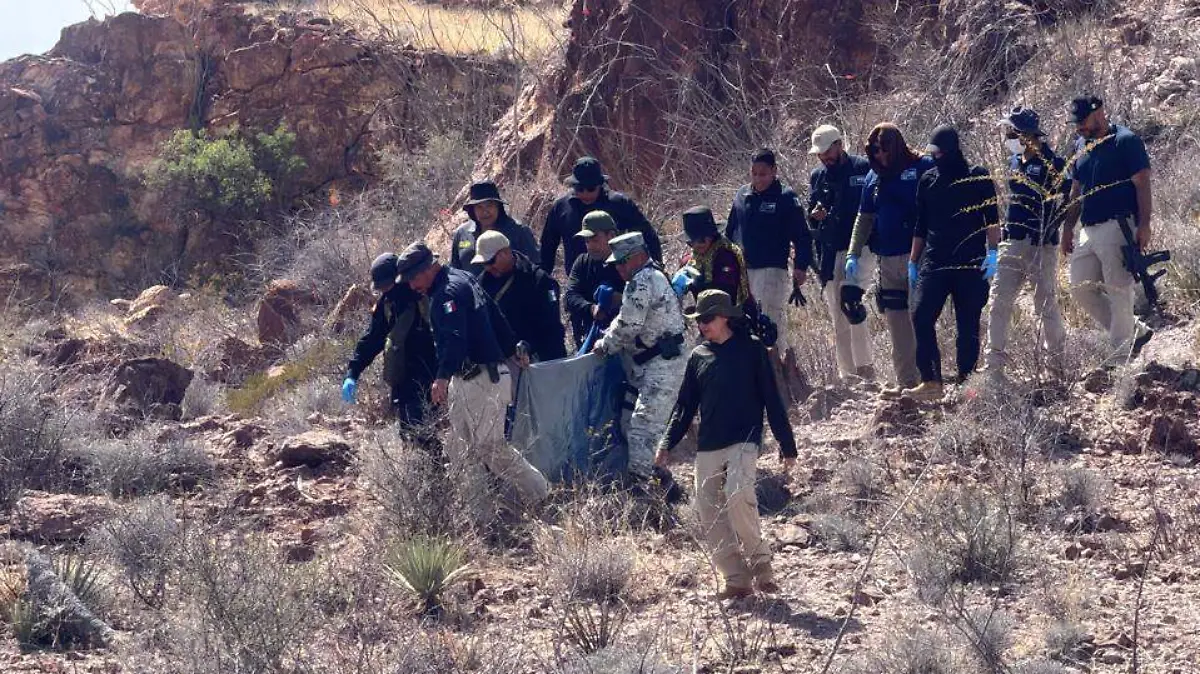 WhatsApp Image 2026-04-08 at 4.21.11 PM