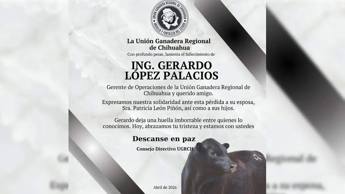 WhatsApp Image 2026-04-09 at 9.36.57 AM