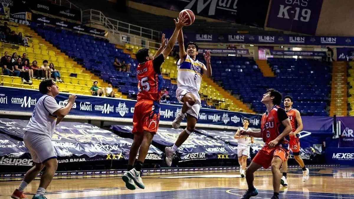 b46e3db6-10b6-4f92-a213-632acd5d3ec3