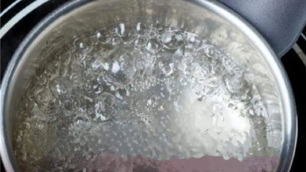1000012569