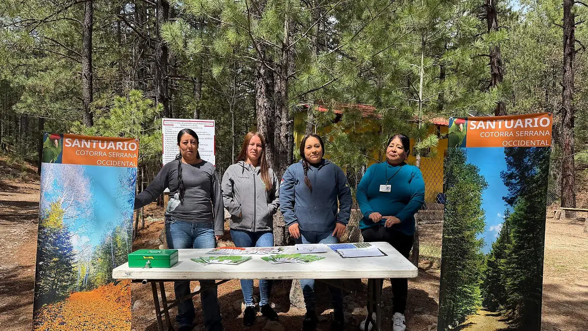 660135440_1373585494803228_8418779085928785774_n