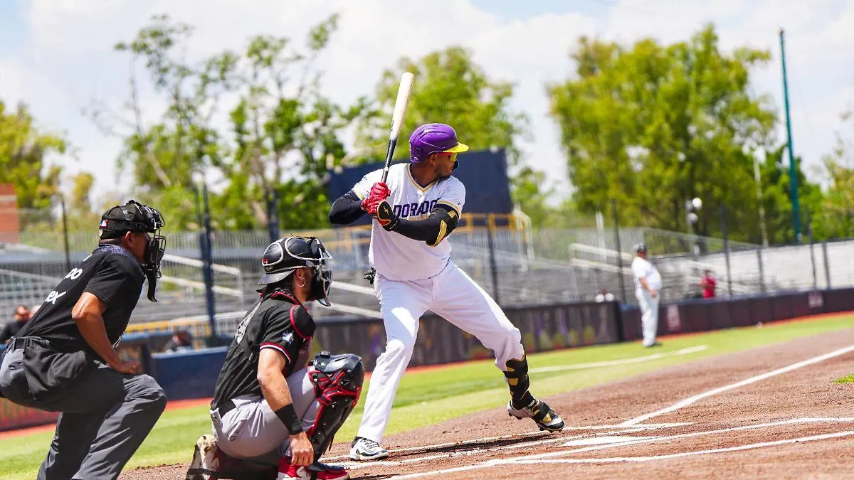 cc2d0617-2088-4d7c-9d0a-b53c7b2d1d1c