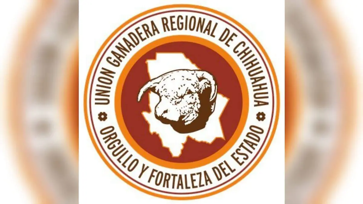 WhatsApp Image 2026-04-10 at 5.38.12 PM