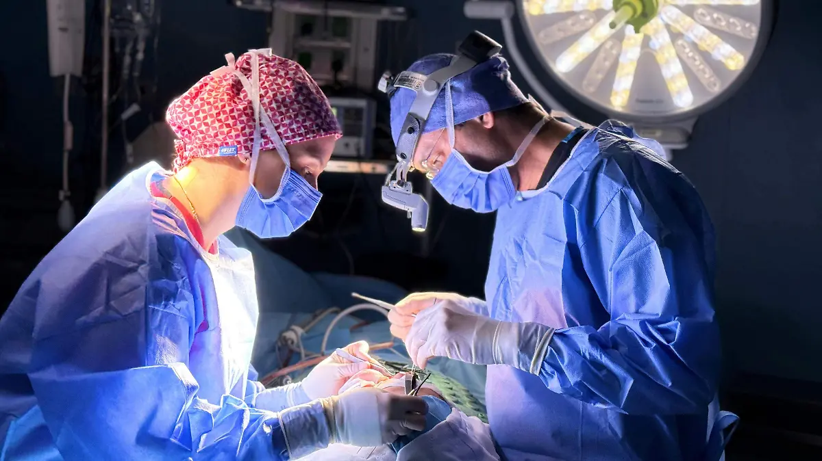 pexels-zeynep-ozata-2153642453-32828952