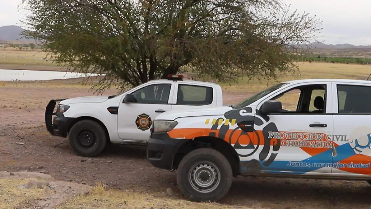 WhatsApp Image 2026-04-11 at 8.54.32 AM