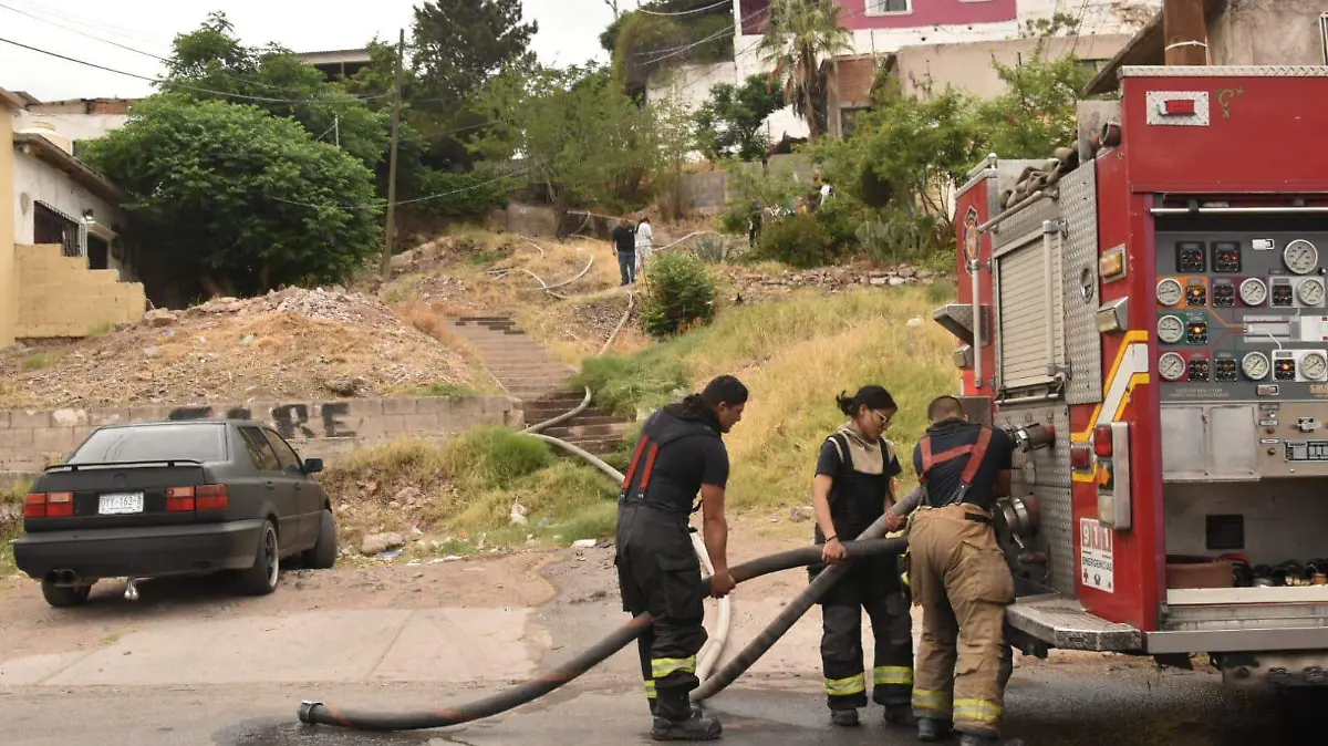 WhatsApp Image 2026-04-11 at 11.10.09 AM