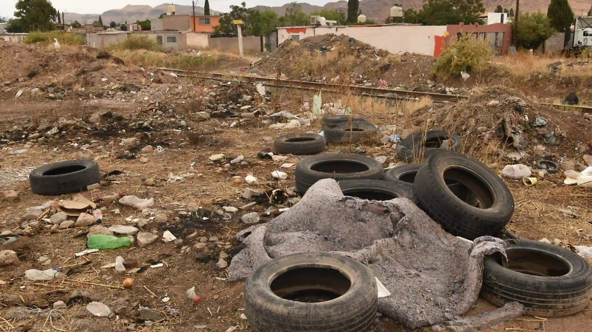 Basurero clandestino (2)