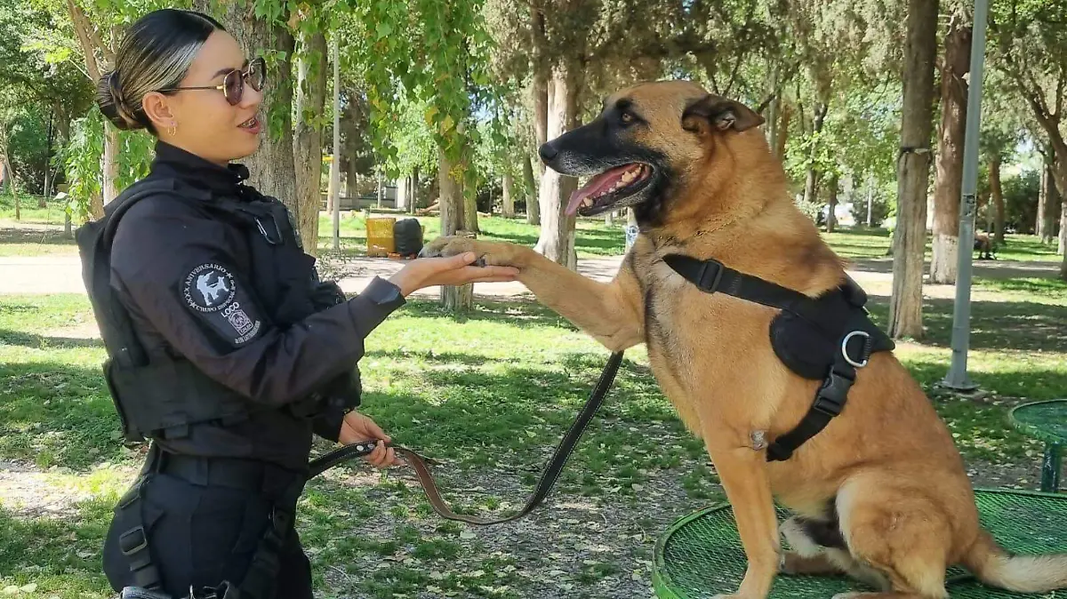 Elemento K-9 y su manejadora