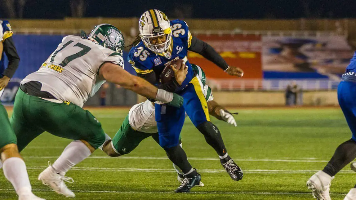 WhatsApp Image 2026-04-11 at 10.15.27 PM