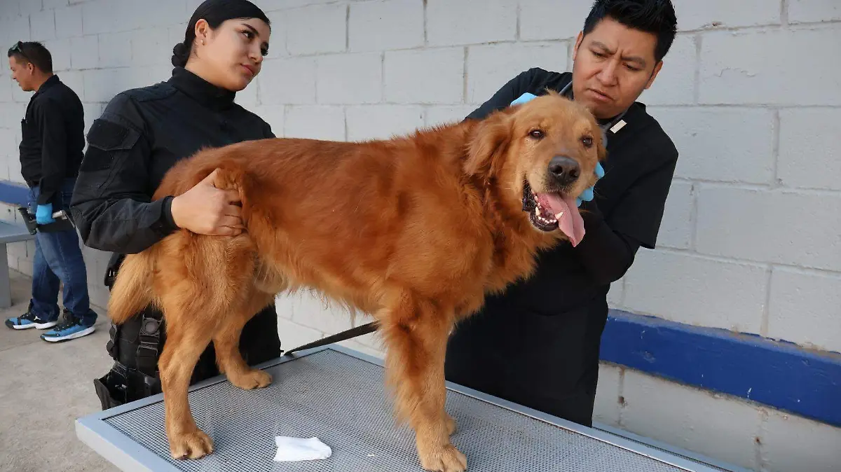 WhatsApp Image 2026-04-12 at 9.42.24 AM