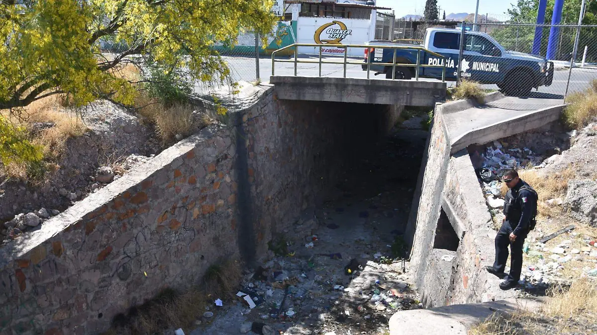 WhatsApp Image 2026-04-12 at 10.58.17 AM