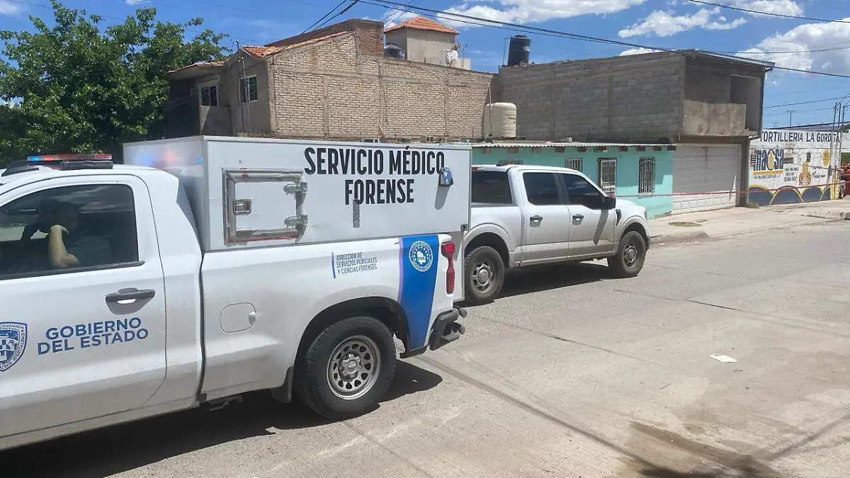 WhatsApp Image 2026-04-12 at 11.58.22 AM