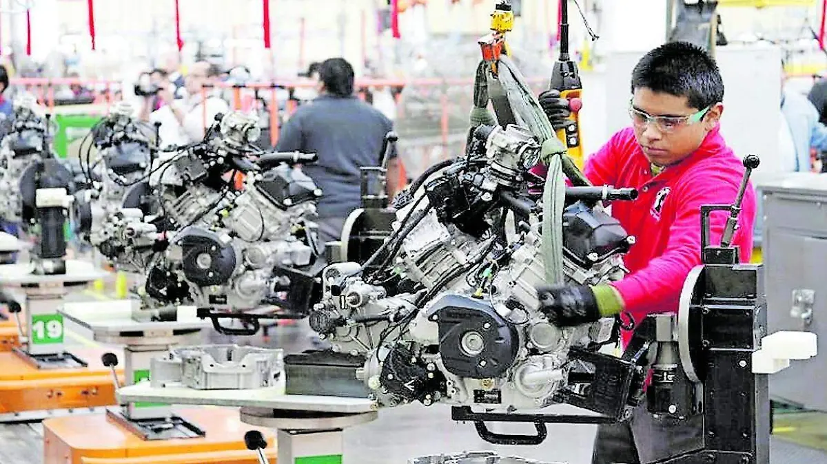 Actividad industrial -archivo oem_CMYK