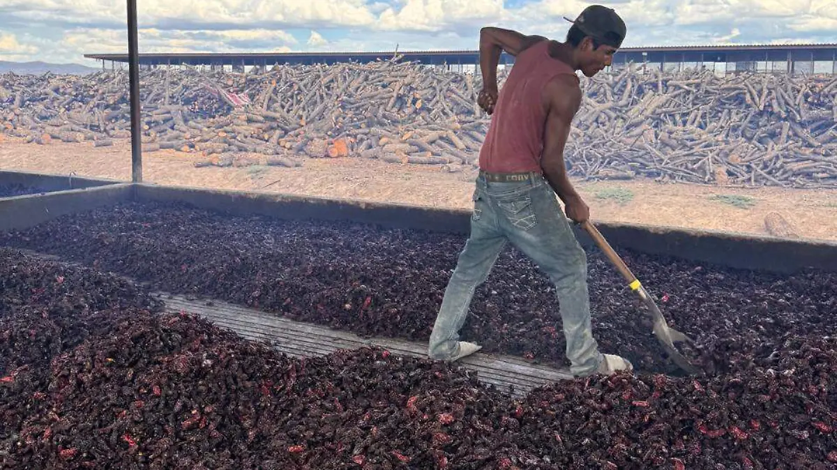 WhatsApp Image 2026-04-12 at 3.04.46 PM