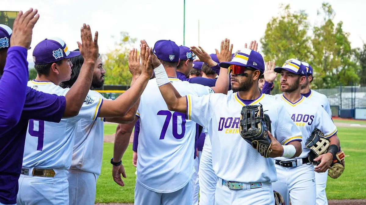 WhatsApp Image 2026-04-12 at 4.28.19 PM