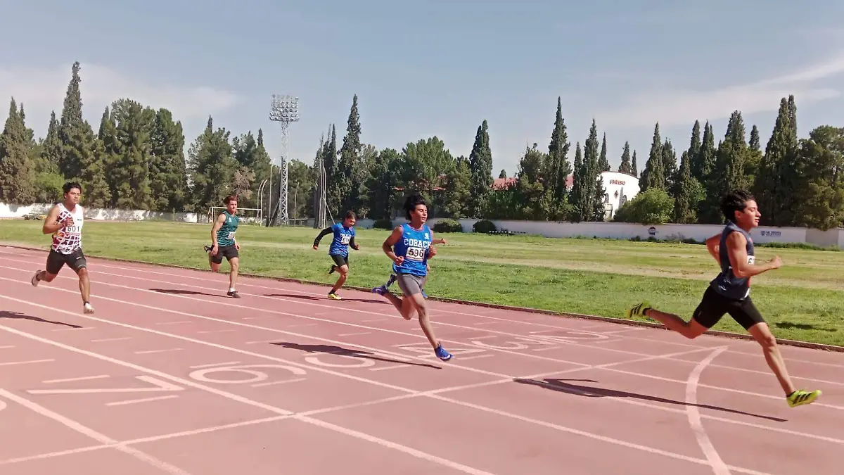 667325530_1443082424283774_3917534585935673635_n