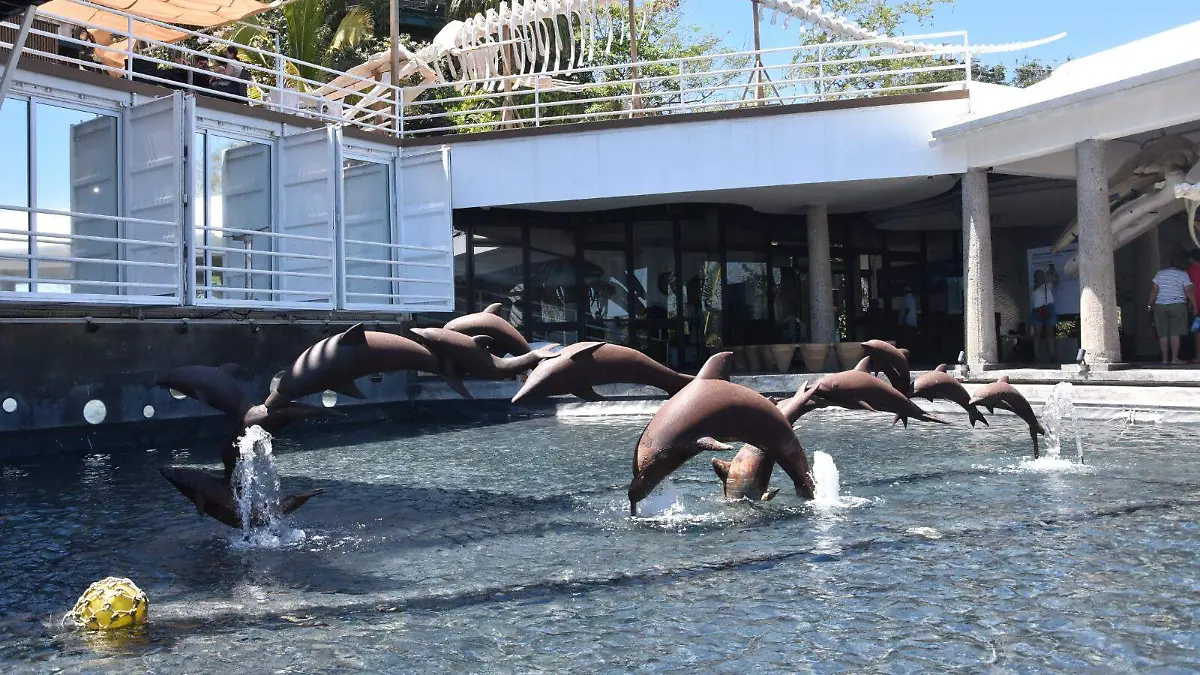 WhatsApp Image 2026-04-13 at 6.50.58 PM