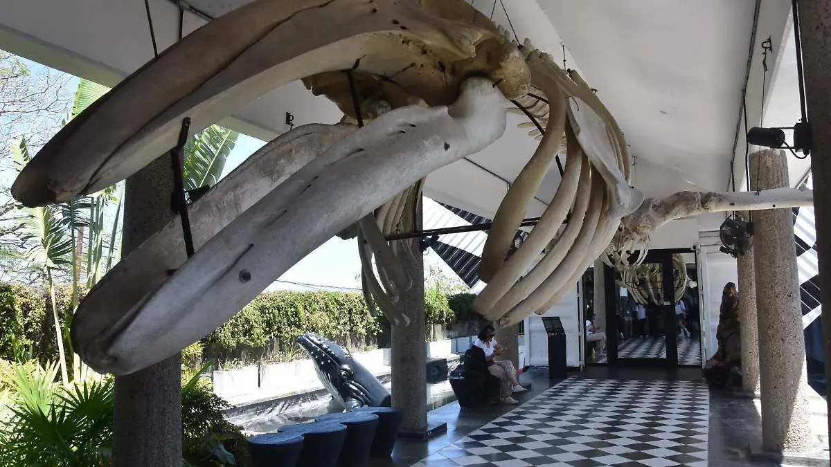 MUNBA MAZATLÁN