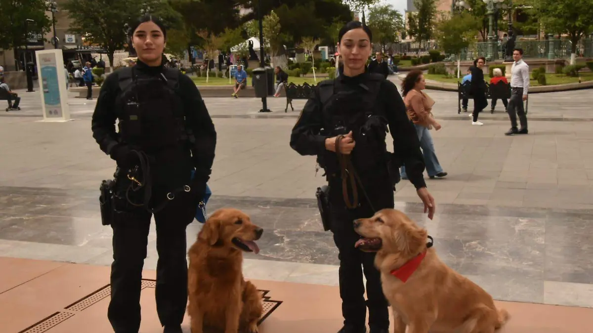 WhatsApp Image 2026-04-14 at 1.22.40 PM