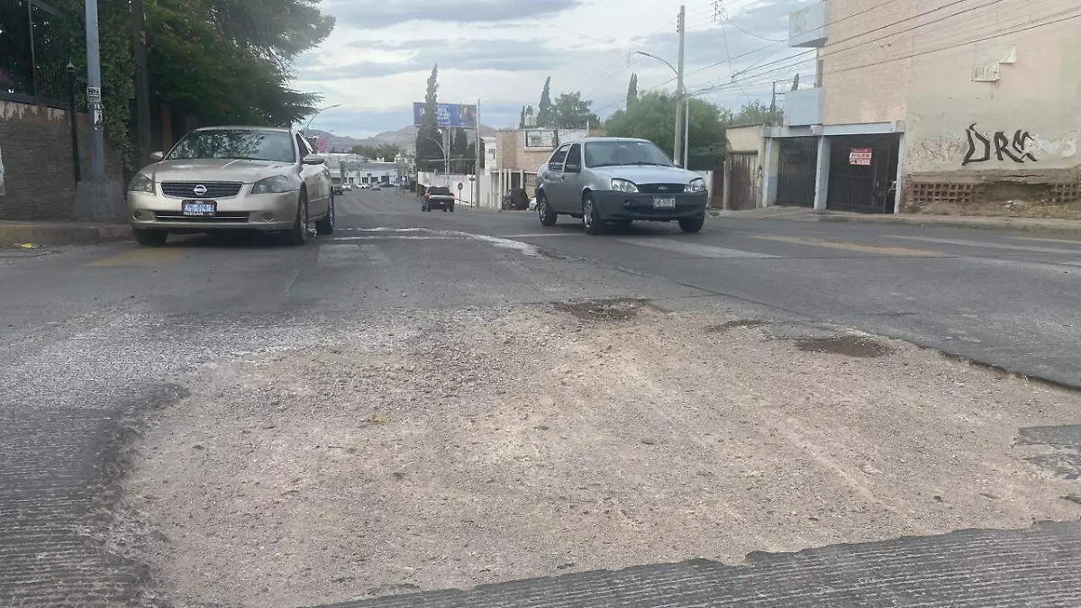 Enorme bache (1)