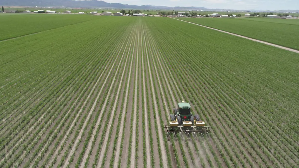 WhatsApp Image 2026-04-15 at 11.10.26 AM (2)