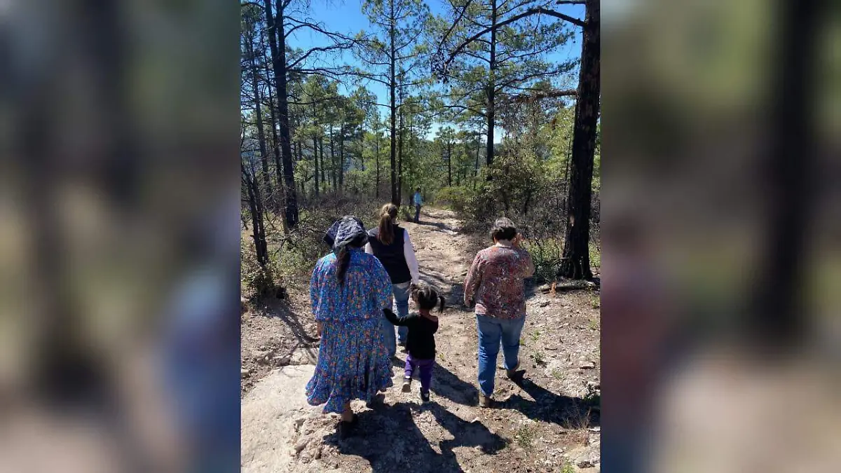 Desplazamiento forzado