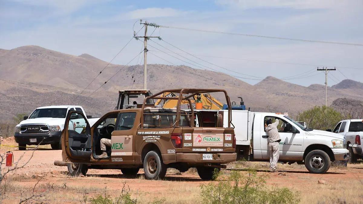 WhatsApp Image 2026-04-16 at 12.27.14 PM (2)