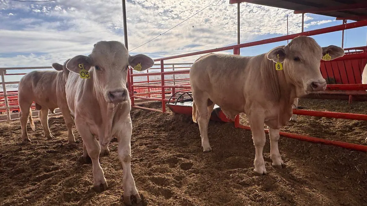 WhatsApp Image 2026-04-16 at 12.49.16 PM