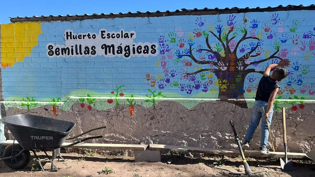 huertos de traspatio