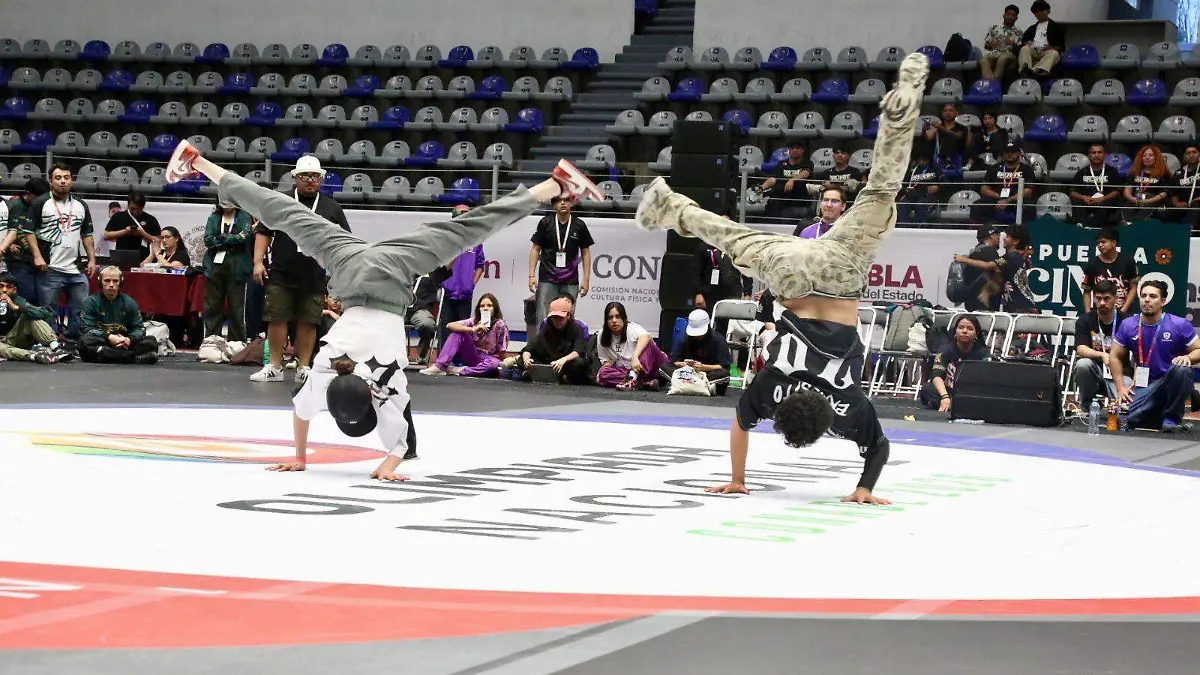 WhatsApp Image 2026-04-17 at 8.11.08 PM