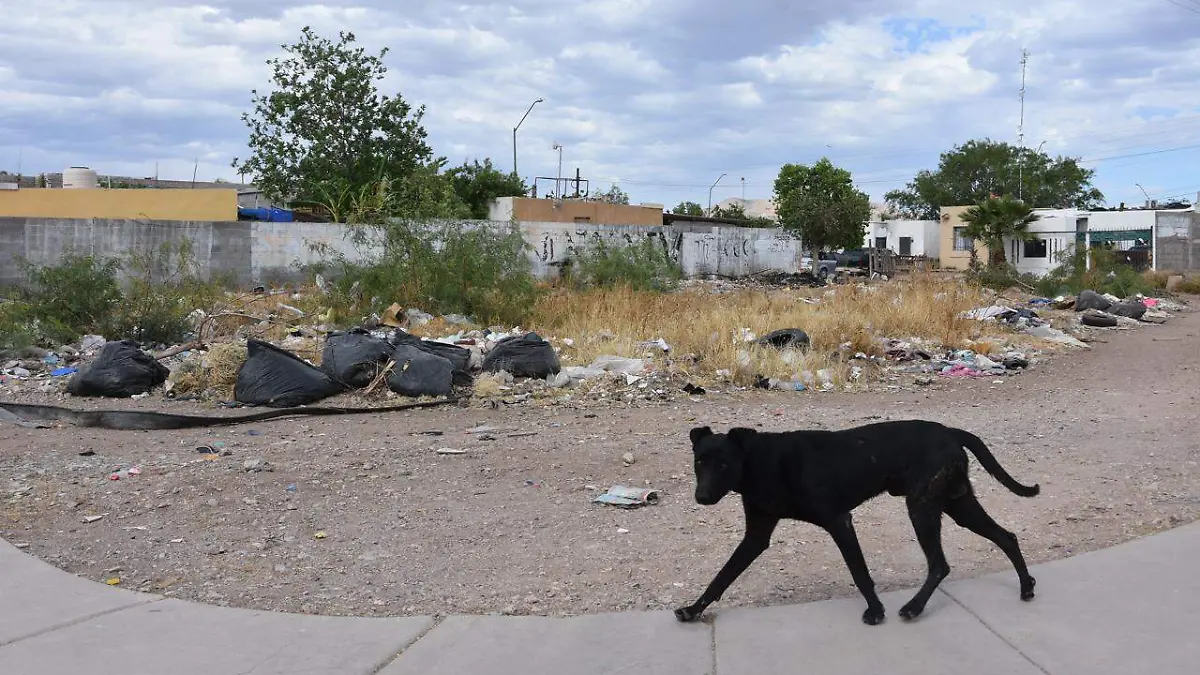 WhatsApp Image 2026-04-17 at 4.08.11 PM