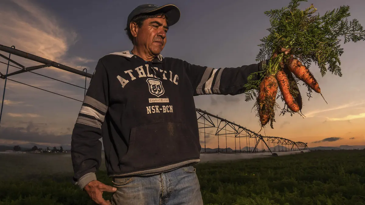 Agricultura PEUA