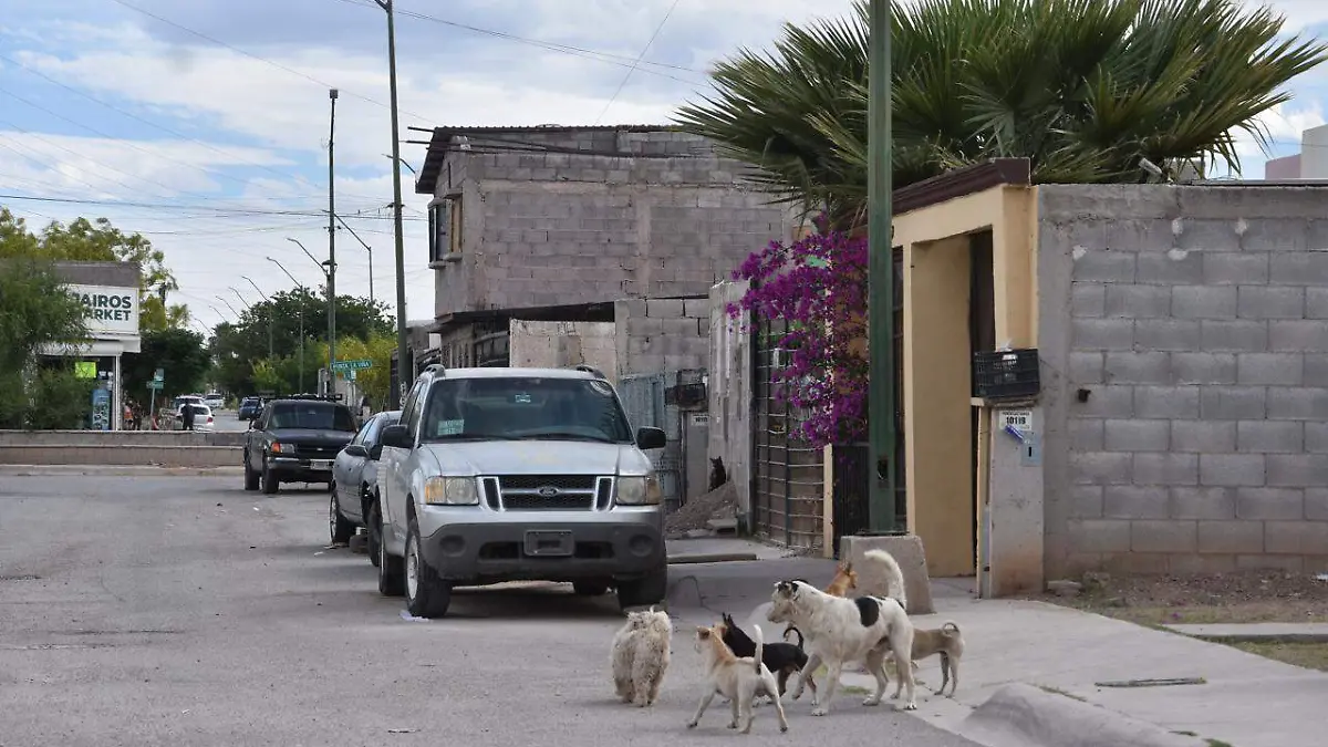 WhatsApp Image 2026-04-17 at 3.08.09 PM