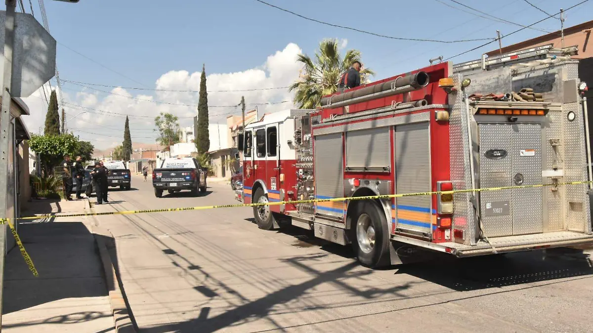 WhatsApp Image 2026-04-20 at 1.14.13 PM