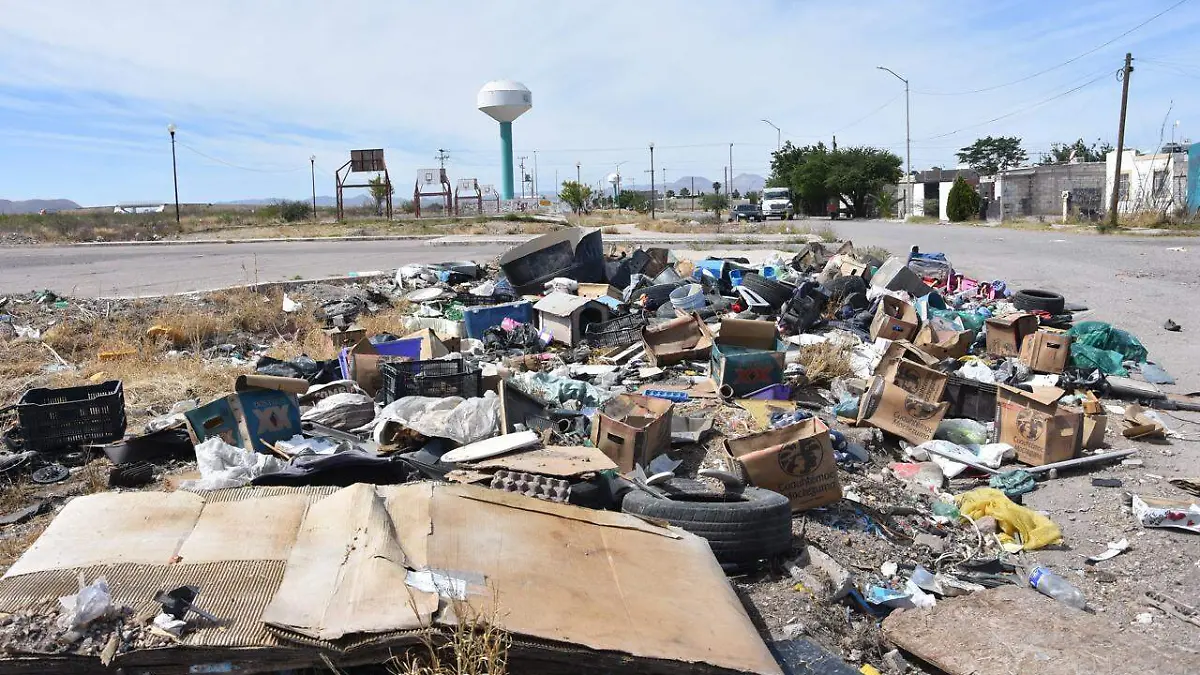 Basura en la calle