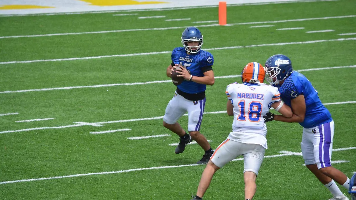 WhatsApp Image 2026-04-20 at 10.24.00 AM