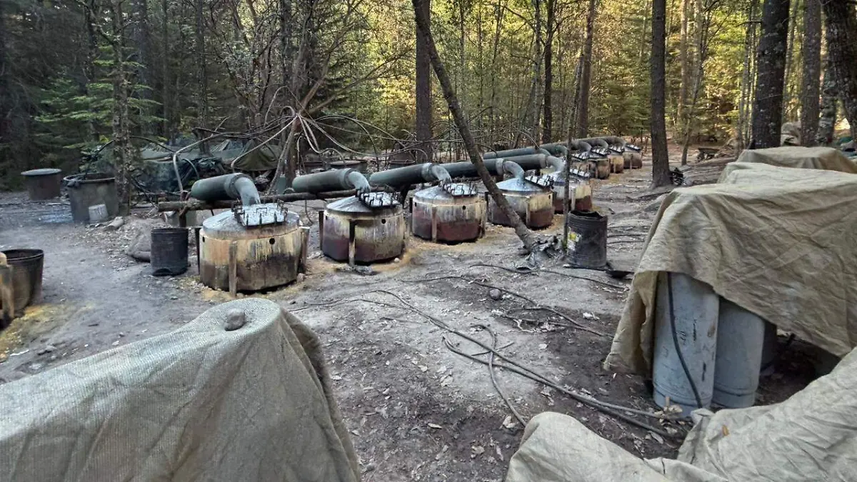 WhatsApp Image 2026-04-21 at 9.12.53 AM