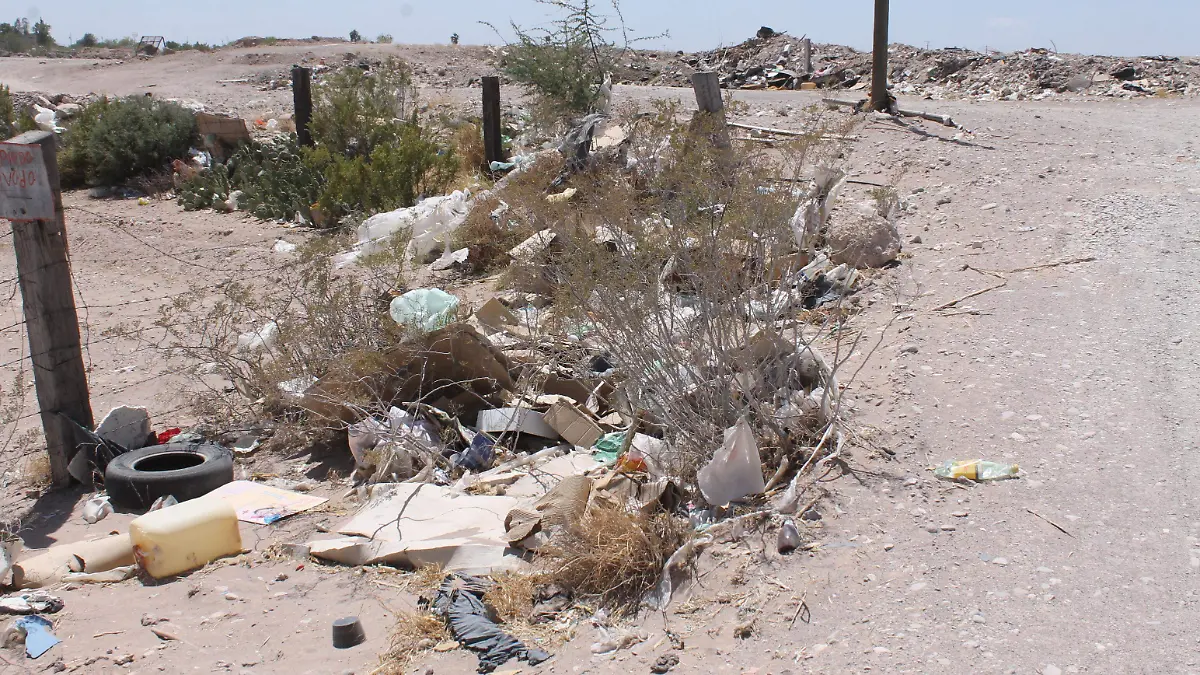 Basura desechos