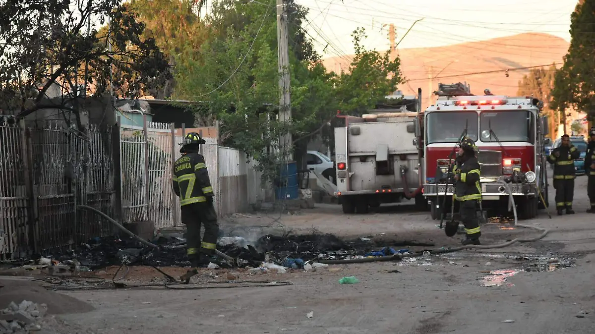 WhatsApp Image 2026-04-24 at 1.56.53 PM