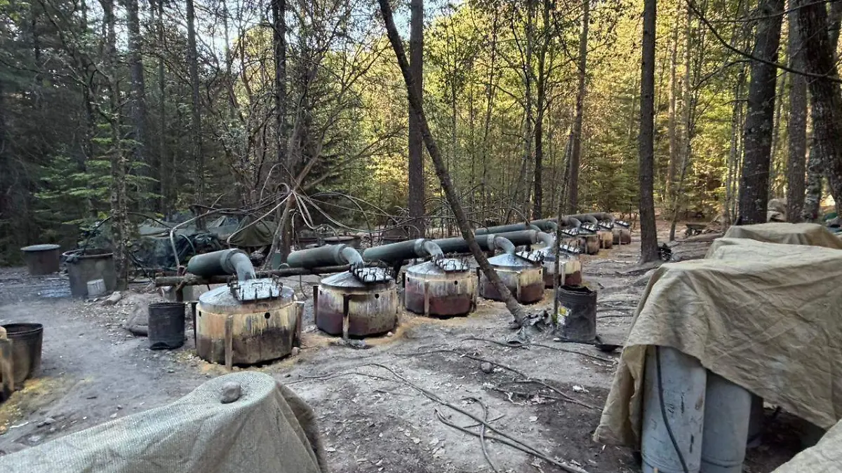 WhatsApp Image 2026-04-21 at 10.12.53 AM