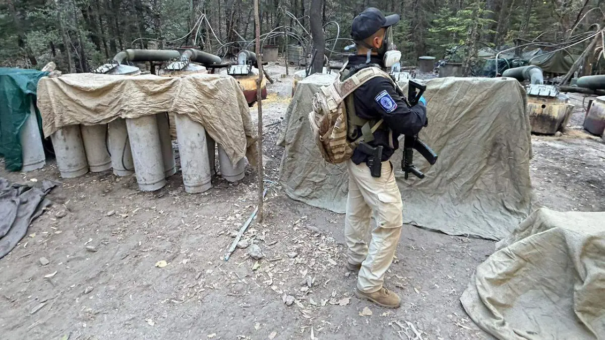 WhatsApp Image 2026-04-21 at 10.12.53 AM (1)