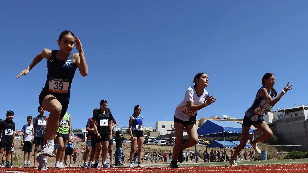 WhatsApp Image 2026-04-24 at 9.50.21 PM (1)