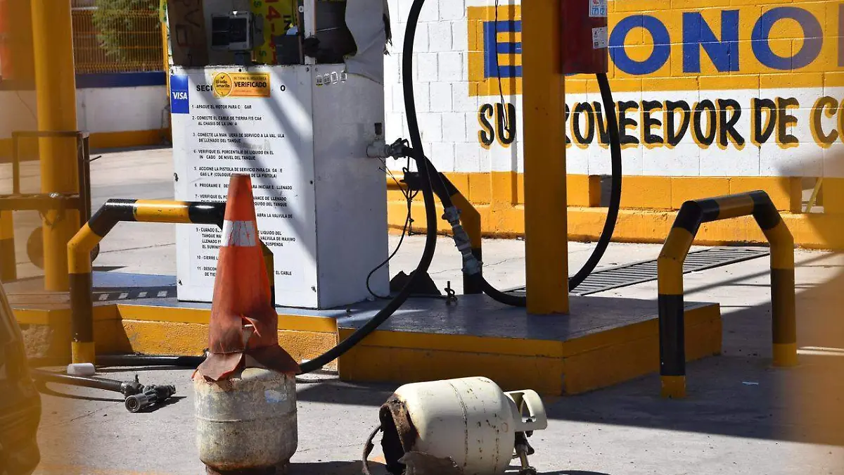 WhatsApp Image 2026-04-25 at 10.41.42 AM