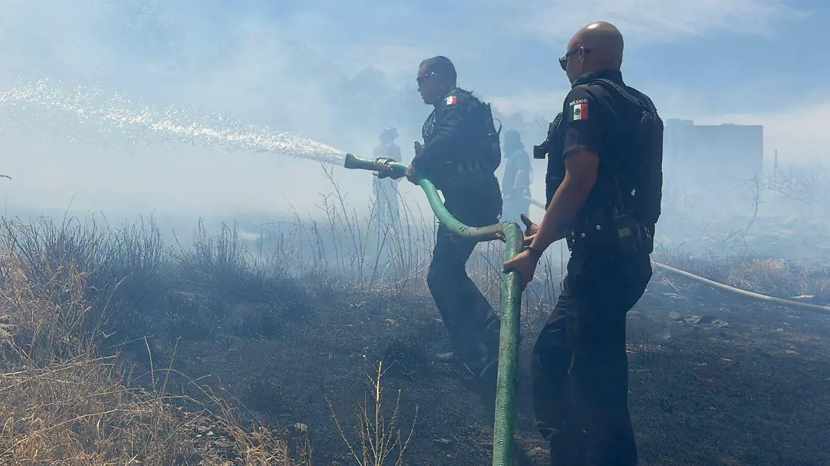 Incendio de pastura