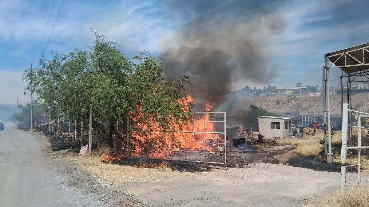 Incendio de pastura (2)