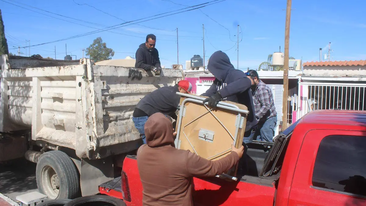 Acciones vs la garrapata
