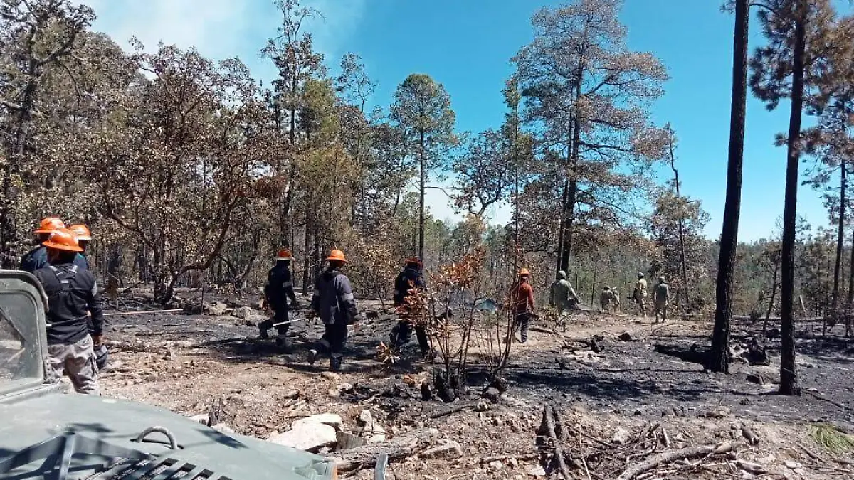 Incendios forestales