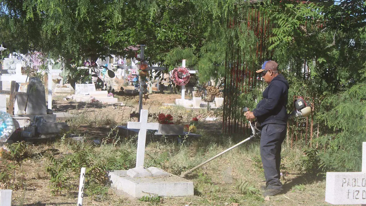 WhatsApp Image 2026-04-27 at 9.43.24 AM