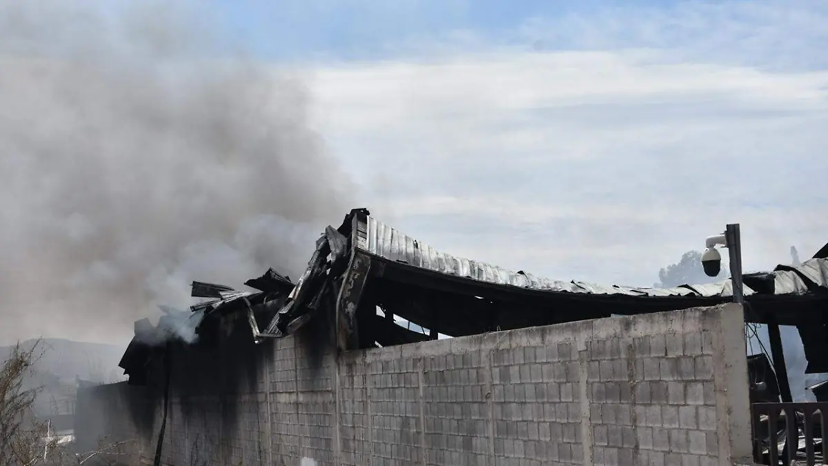 WhatsApp Image 2026-04-27 at 12.36.10 PM